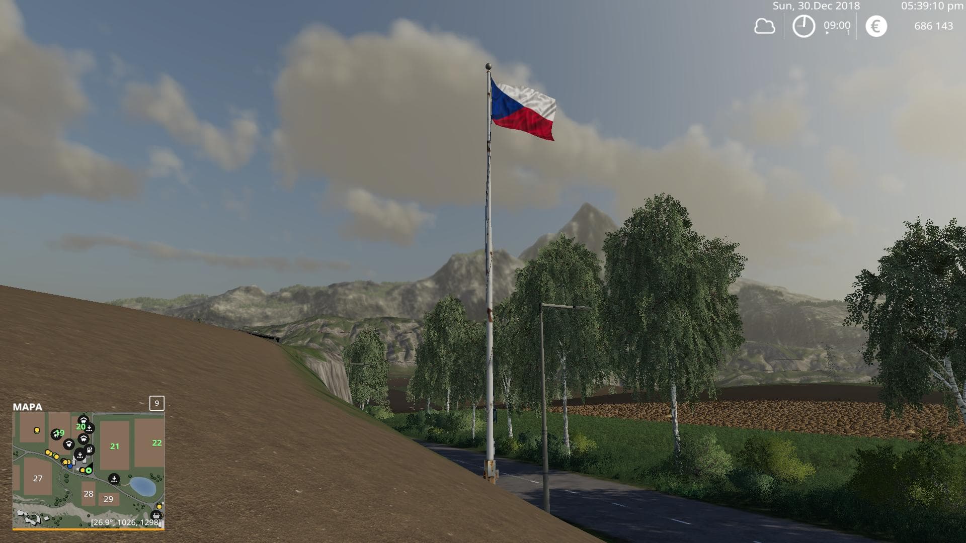 Czech flag 2