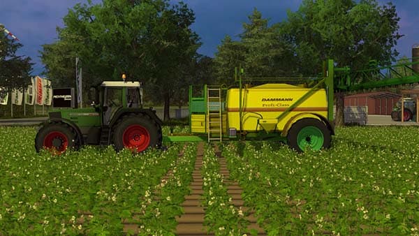 Dammann Profi Class 5036 [MP]