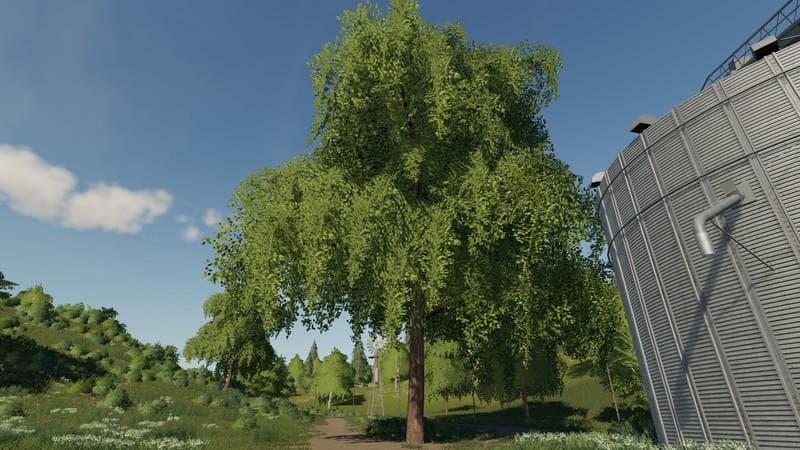 Deciduous tree placeable 3