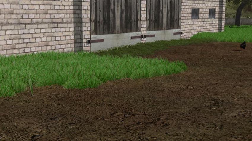 Dense Looking Grass Texture 2