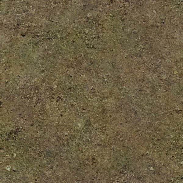 Dirt Texture [SP]