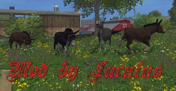 Donkey [SP] 3