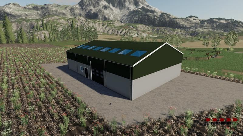 Dutch Shed pack