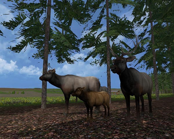 Elks [MP] 3