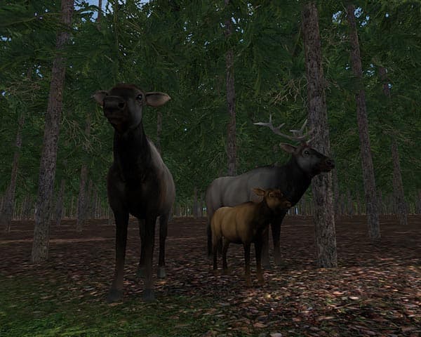 Elks [MP] 2