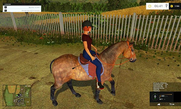 Equestrian woman drivable 3