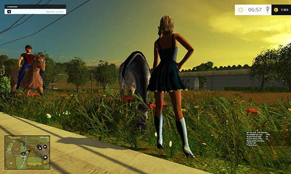 Equestrian woman 2