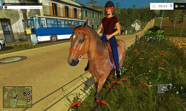 Equestrian woman 3
