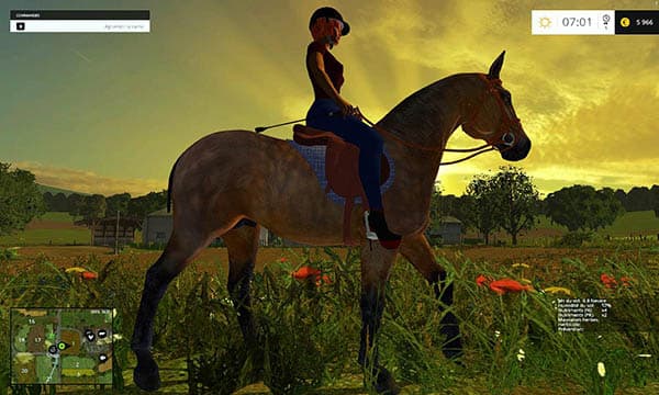 Equestrian woman 2