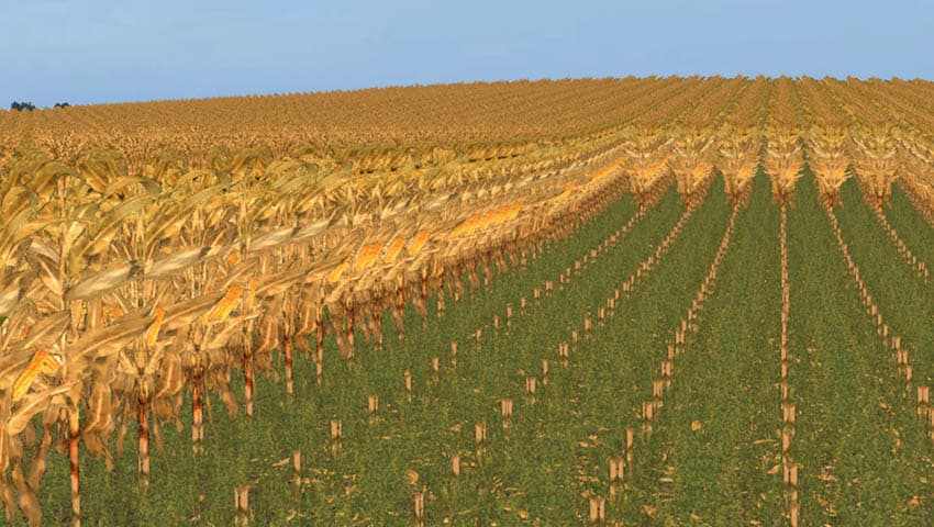 Euro Farms [MP] 5
