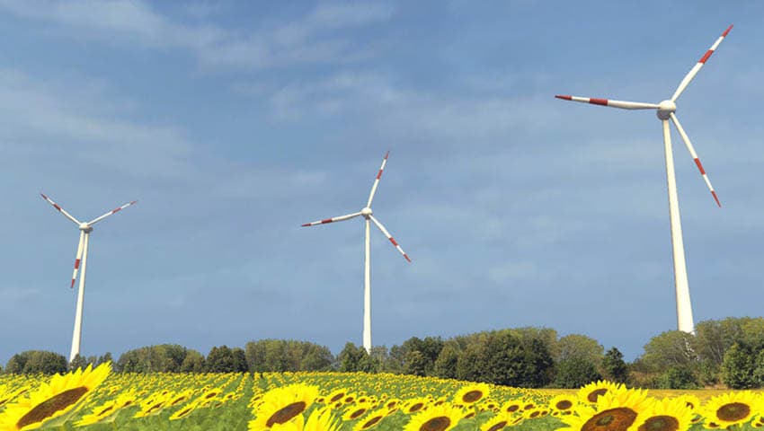 Euro Farms [MP] 4