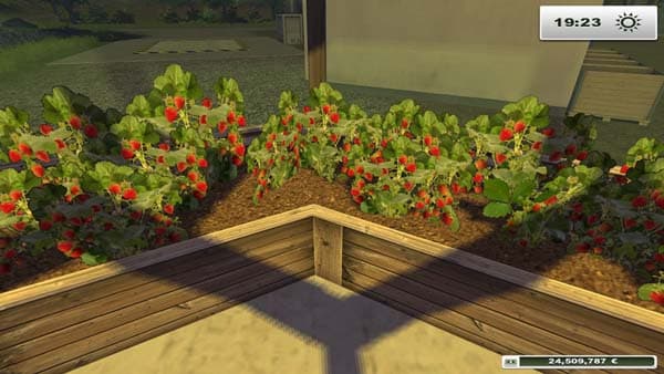 Extension Strawberry [MP]