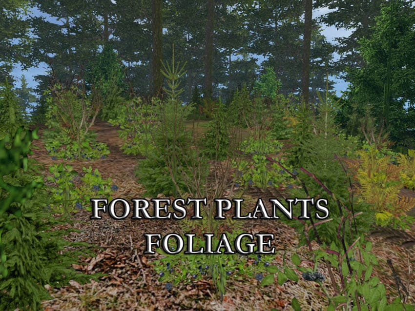 FOREST PLANTS FOLIAGE [SP] 3