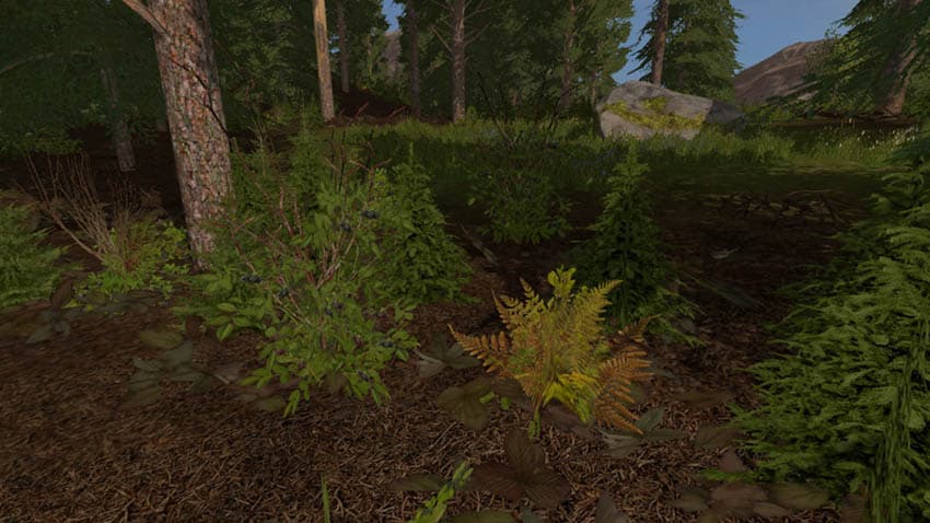 FOREST PLANTS FOLIAGE [SP] 2