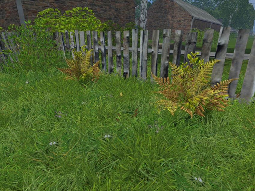 FOREST PLANTS [MP] 3