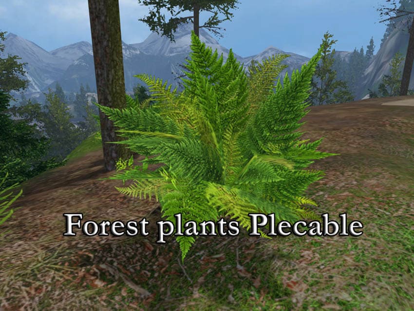 FOREST PLANTS [MP] 2