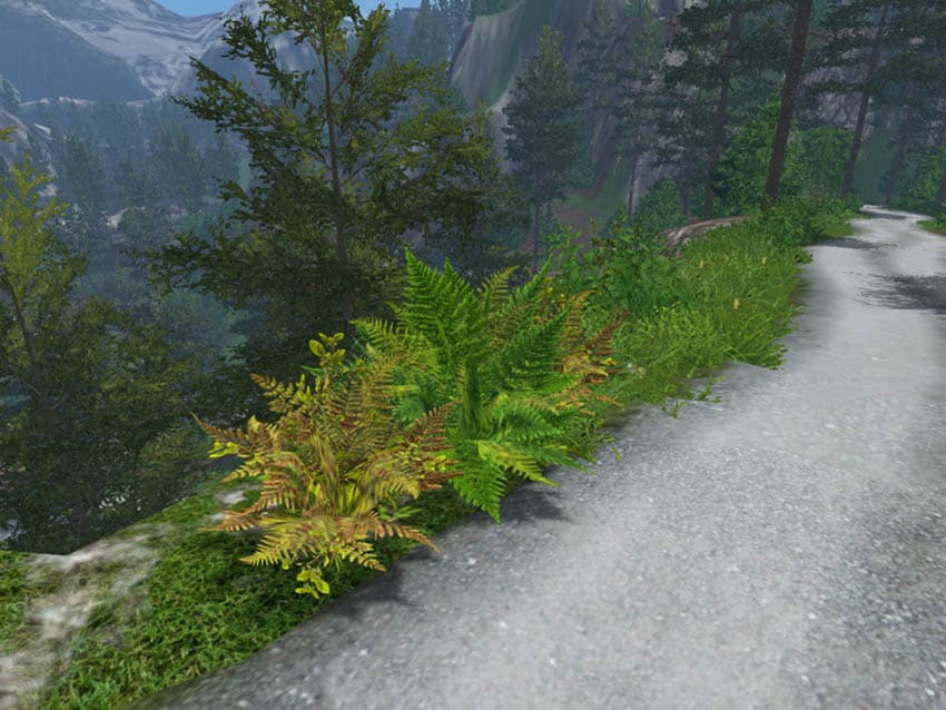 FOREST PLANTS [MP]