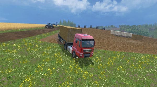 FSM Man 22s [MP] 2