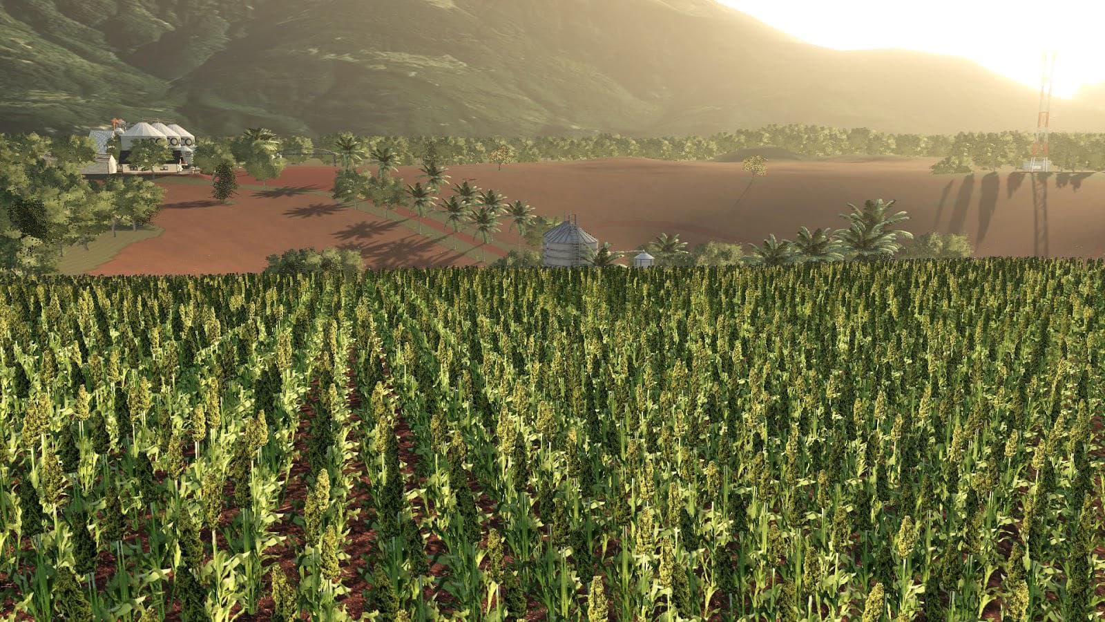 Farm CAMPO VERDE 2
