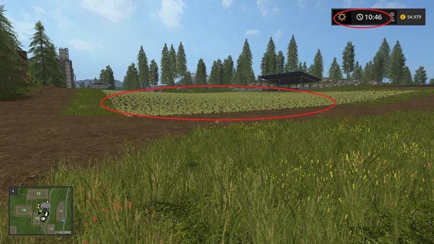 Fast Growth [MP]