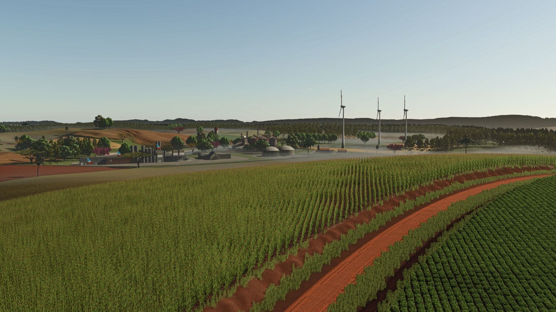 Fazenda Condor 5