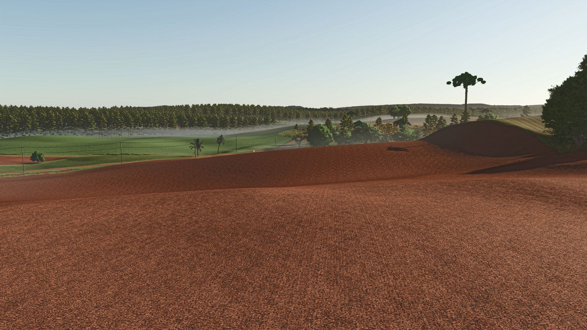 Fazenda Condor 4