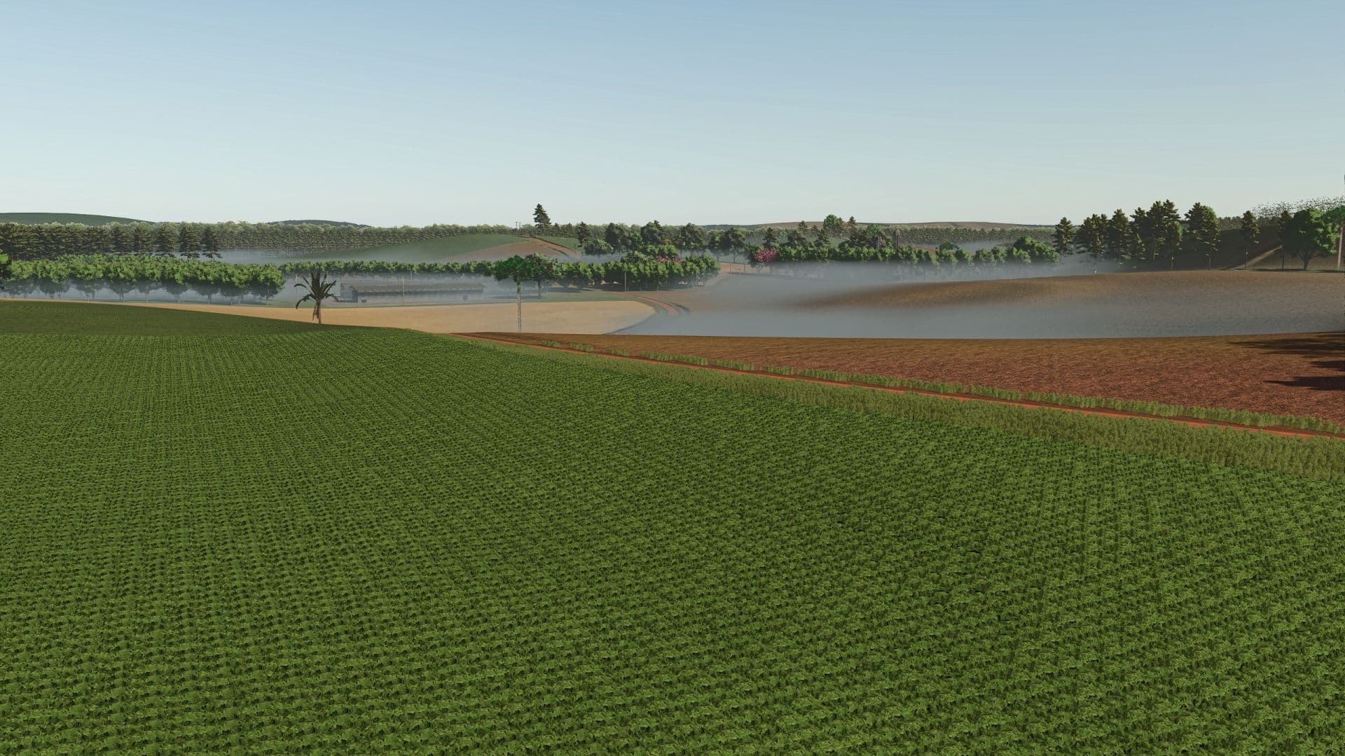 Fazenda Condor 2