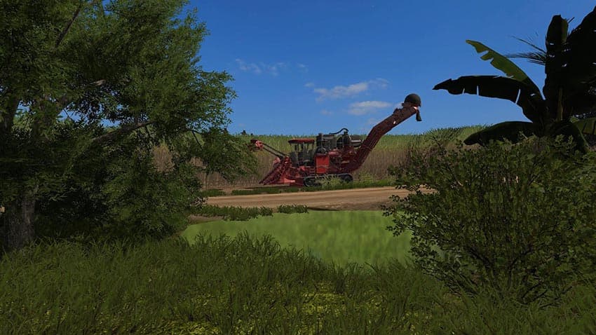 Fazenda BOA VISTA 3