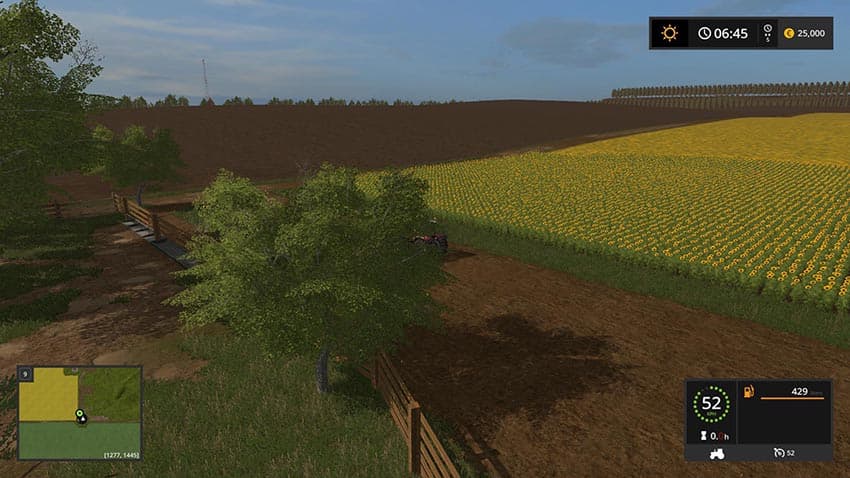 Fazenda Pinheiro Alto 3