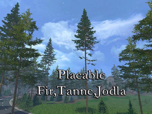 Fir placable [MP] 3