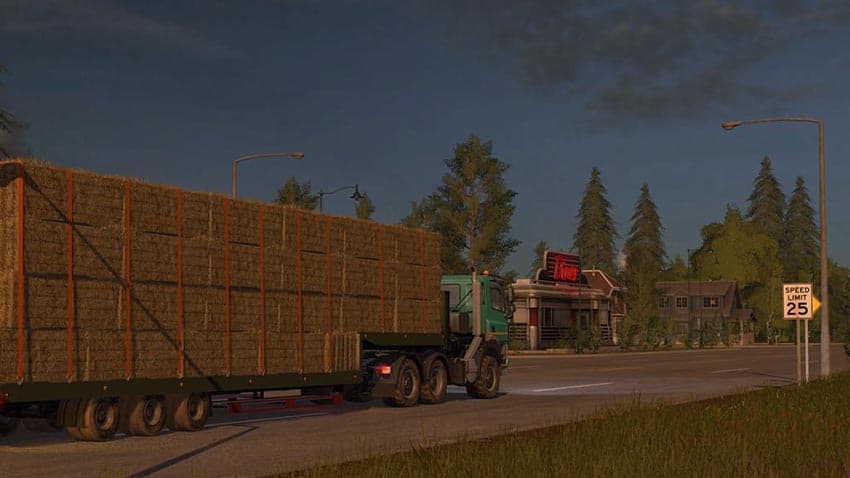 Flatbed Low Loader 2