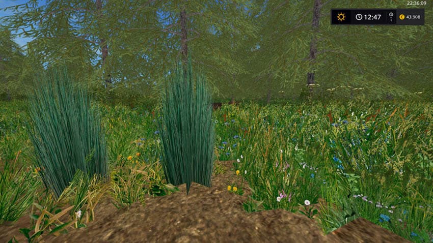 Foliage Texture [SP] 3