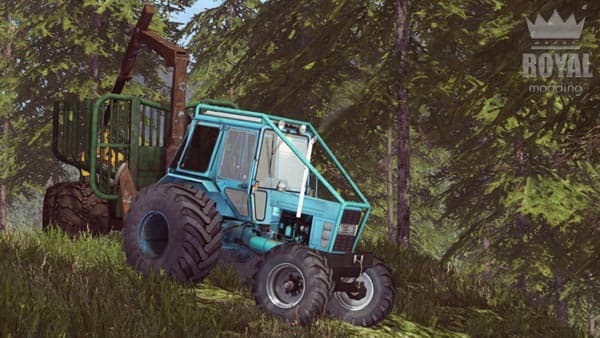 Forest BETA [MP]
