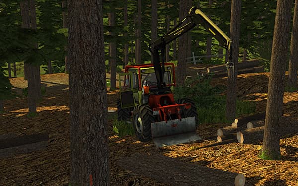 Forest Mod 3