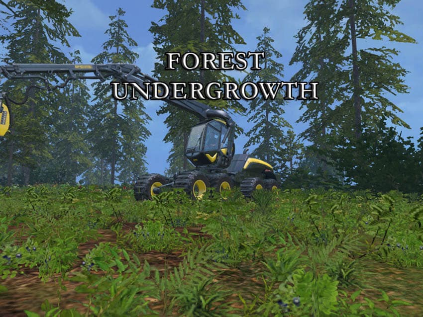 Forest undergrowth [SP] 3
