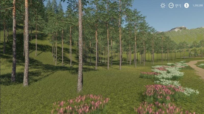 Forestry Logging Map 2
