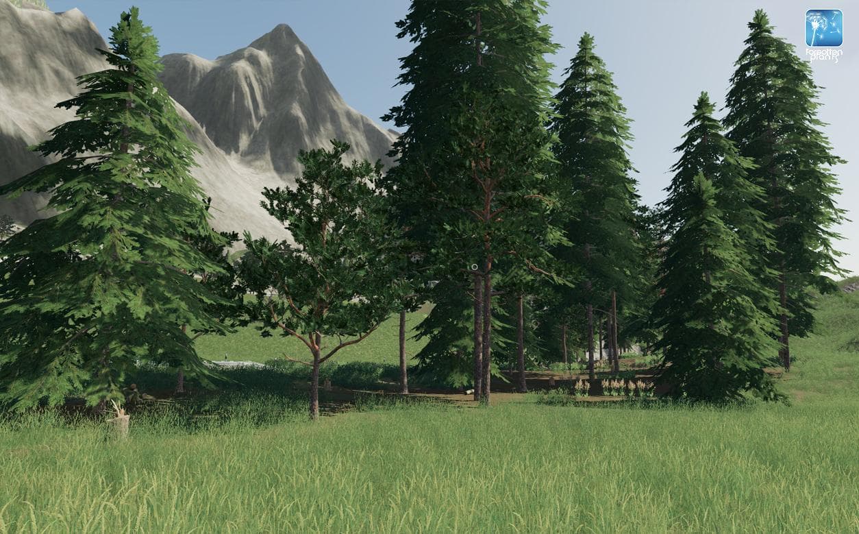 Forgotten Plants - Landscape 3