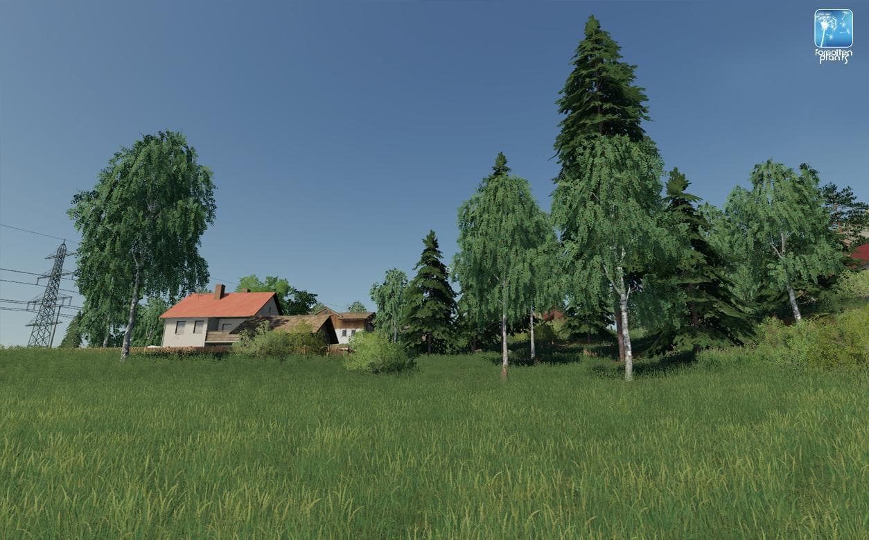 Forgotten Plants - Landscape 2