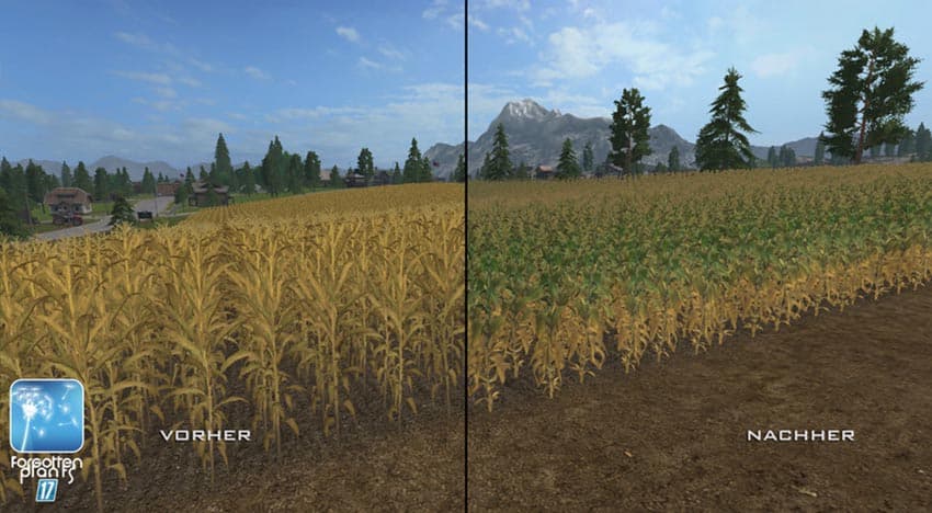Forgotten Plants - Maize [SP]