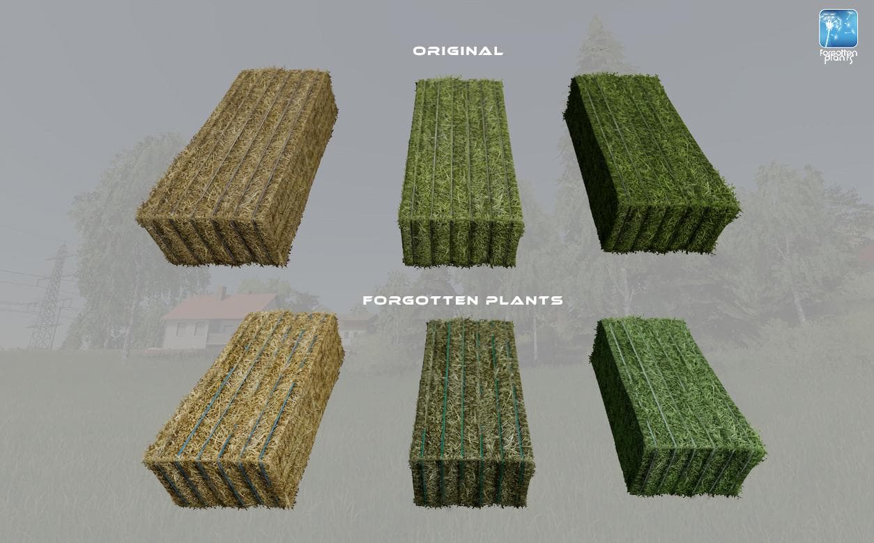 Forgotten Plants - Misc