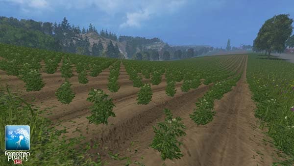 Forgotten Plants Potatoes [SP] 3
