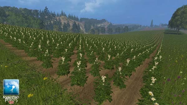 Forgotten Plants Potatoes [SP] 2