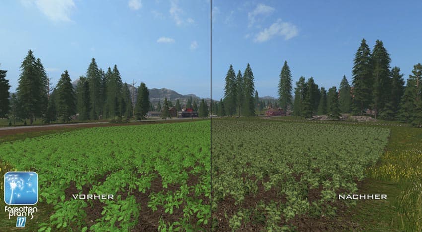 Forgotten Plants - Rape [SP] 2