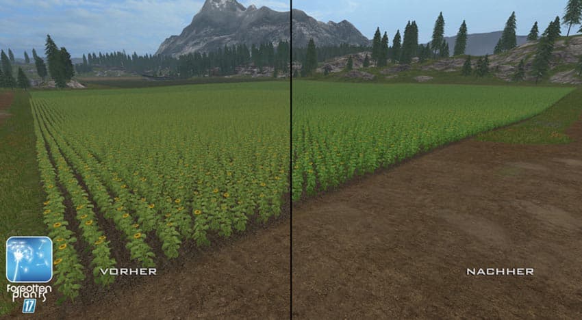 Forgotten Plants - Sunflowers [SP] 2