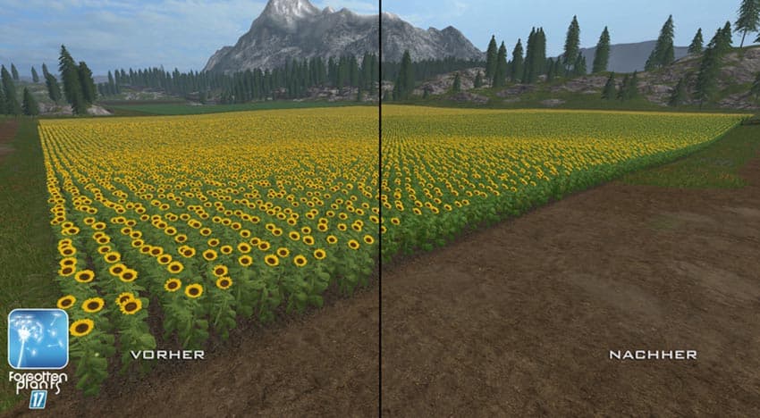 Forgotten Plants - Sunflowers [SP]