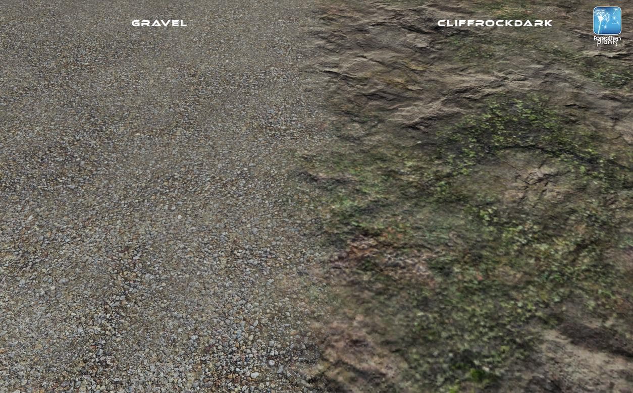 Forgotten Plants - Terrain 2