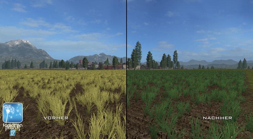Forgotten Plants Wheat Barley [SP] 2