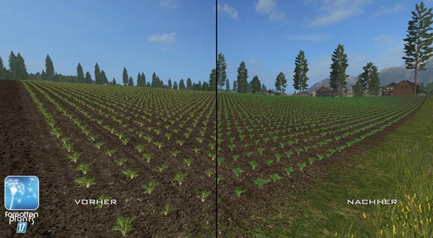 Forgotten Plants Sugerbeet Potatoes [SP] 2
