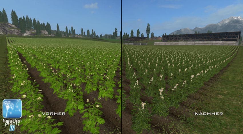Forgotten Plants Sugerbeet Potatoes [SP]