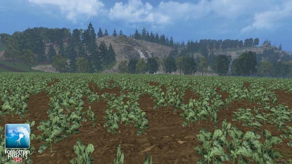 Forgotten Rape Plants [SP] 4